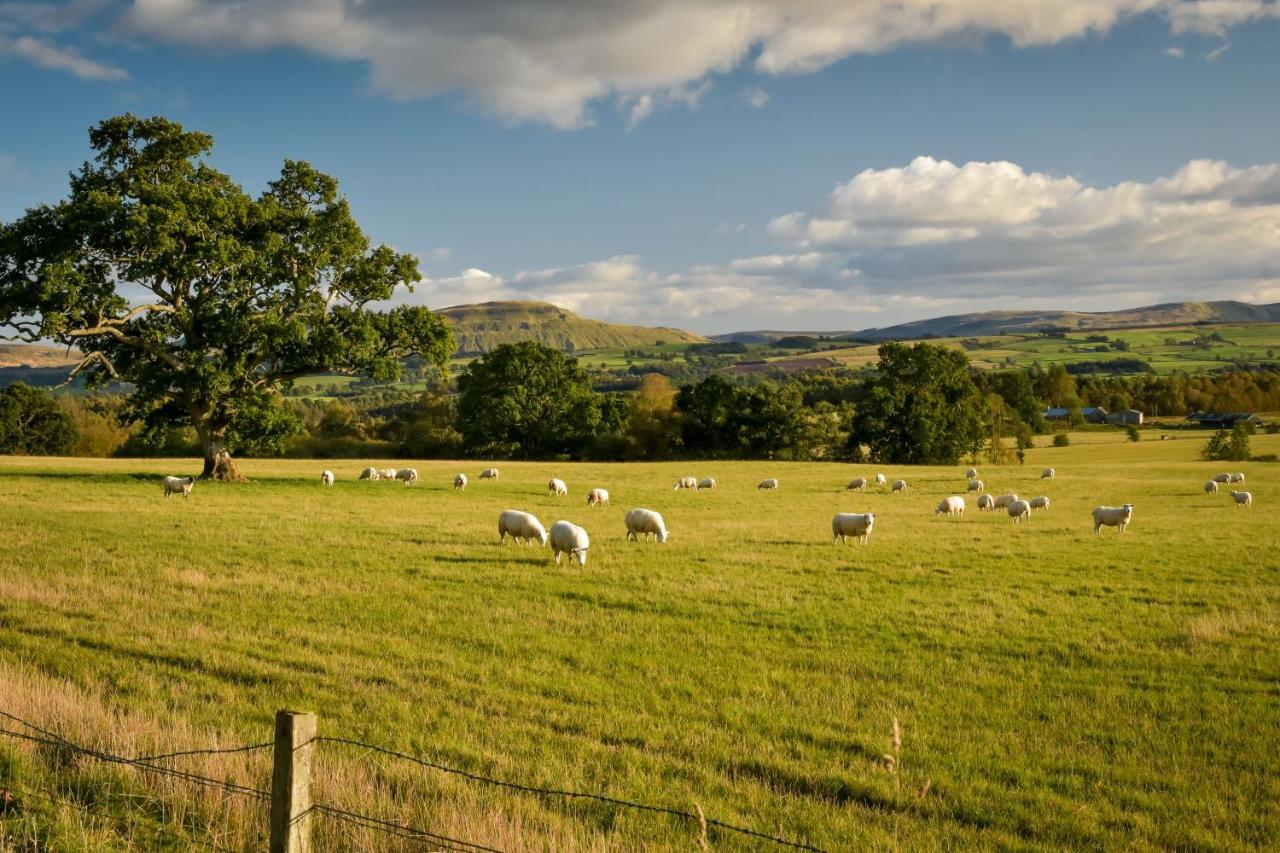 Cardross Holiday Cottages Arnprior Dış mekan fotoğraf