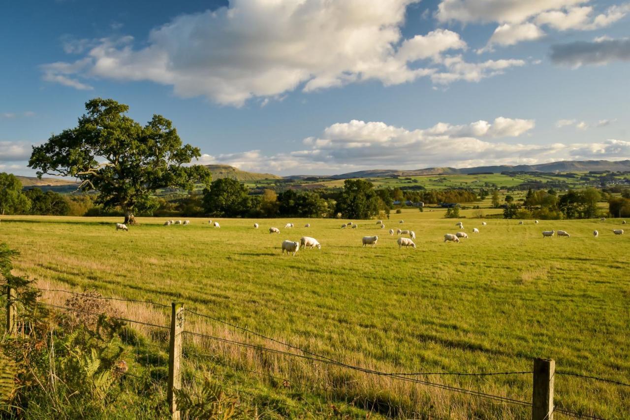 Cardross Holiday Cottages Arnprior Dış mekan fotoğraf